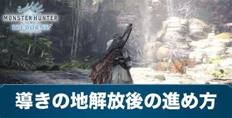 【MHWアイスボーン】導きの地解放後の進め方【モンハンワー .